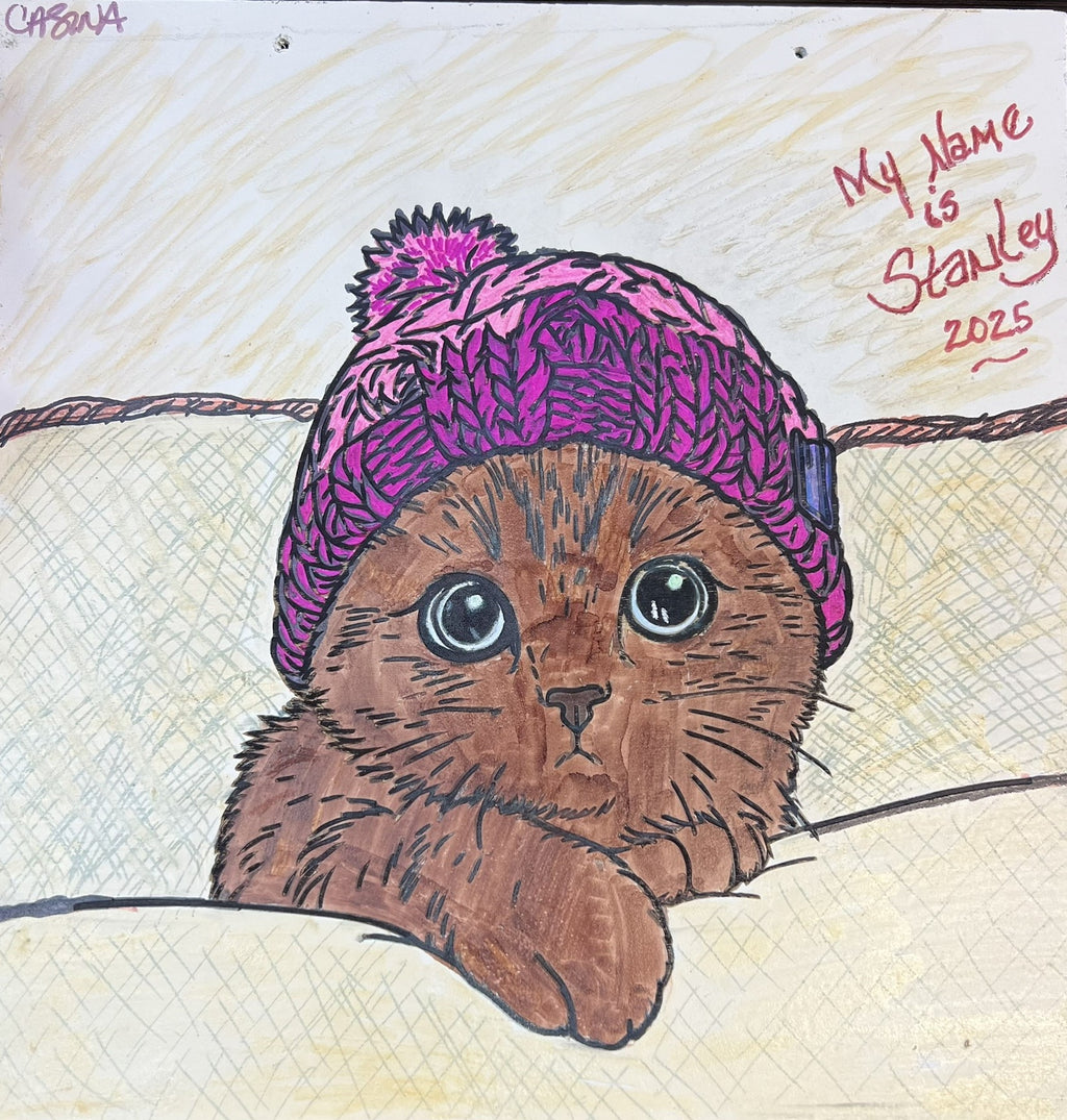 "Cozy Cat" DIY Engraved Wood Coloring Piece