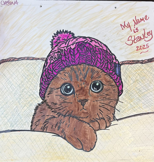 "Cozy Cat" DIY Engraved Wood Coloring Piece