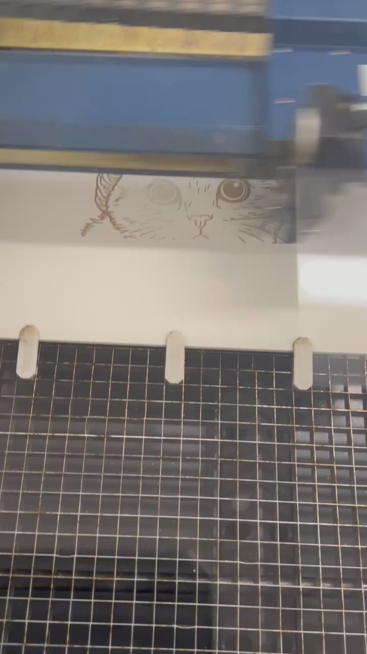 "Cozy Cat" DIY Engraved Wood Coloring Piece